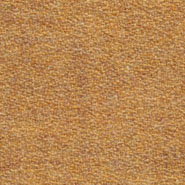 Flora 2_526  Kvadrat